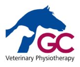 Grace Clohessy Logo